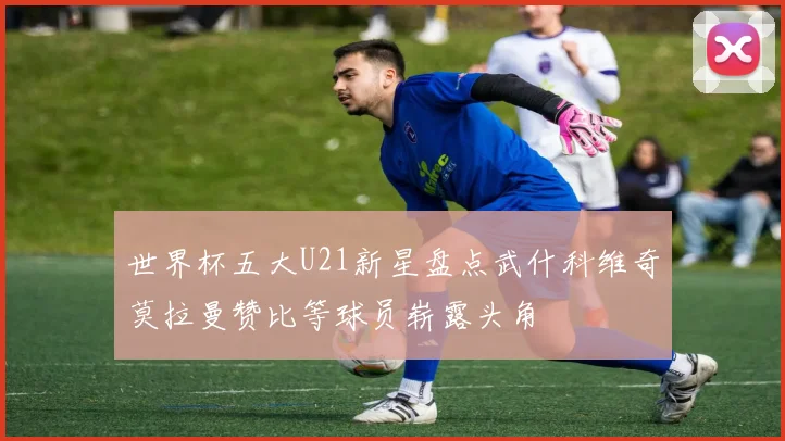 世界杯五大U21新星盘点武什科维奇莫拉曼赞比等球员崭露头角